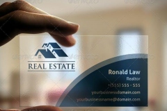 RealEstateBusinessCardPreview